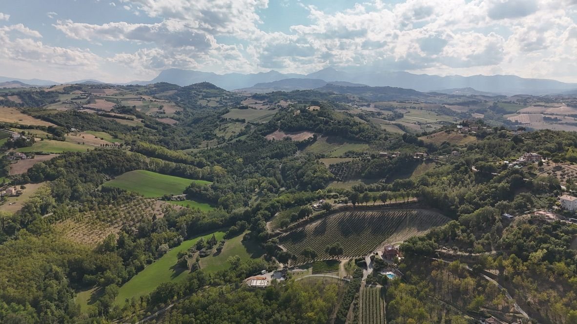 Heuvellandschap in het binnenland van Le Marche met olijfbomen